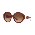 Women's Contemporary Shades