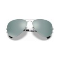 Sleek Sunglasses